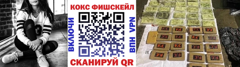COCAIN FishScale  Сосновый Бор 