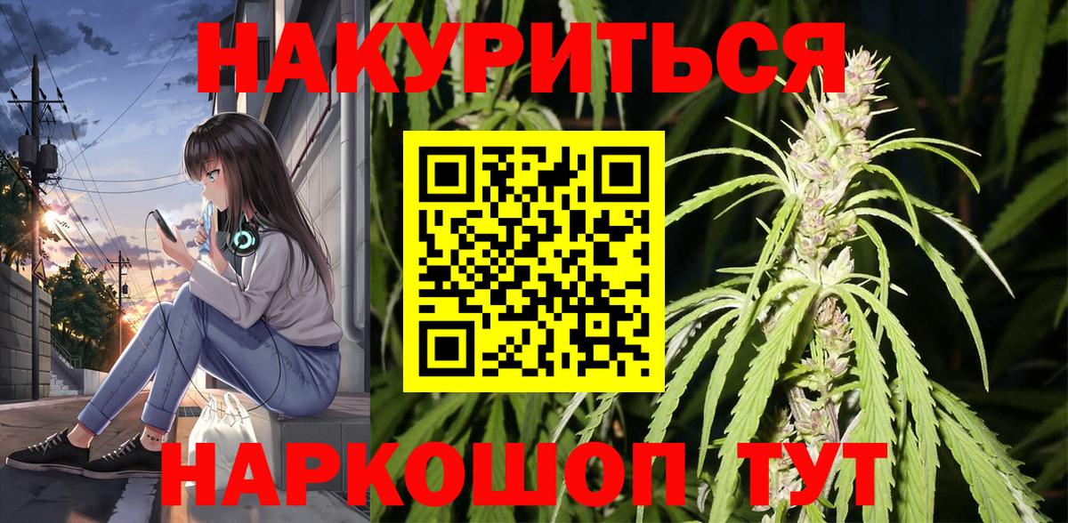 Бошки марихуана индика  Каннабис Ganja  Марихуана план  Сосновый Бор  Вход с VPN 